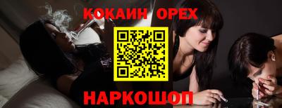 шишки Моздок