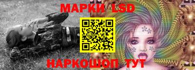 шишки Моздок