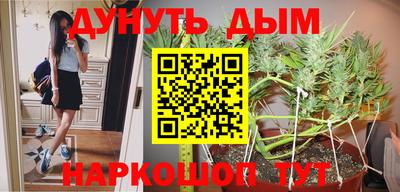 шишки Моздок
