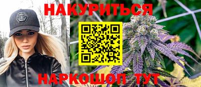 тгк Можга