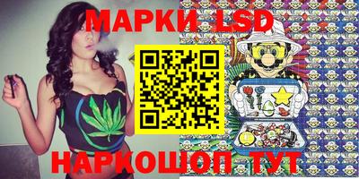 шишки Моздок