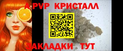тгк Можга