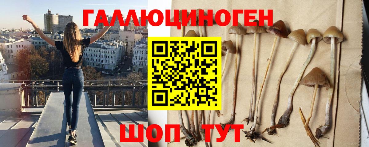 Галлюциногенные грибы MAGIC MUSHROOMS Томск